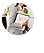 �f�U�C�i�[�Y�Z��A�f�U�C�i�[�Y �}���V������I�t�B�X�̃f�U�C�i�[�Y���t�H�[�����������镾�Ђ̃f�U�C�i�[ �X�^�b�t�Љ�ł��B