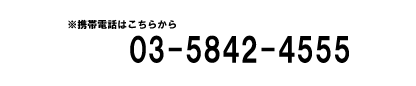 gѓdb͂@03-5842-4555